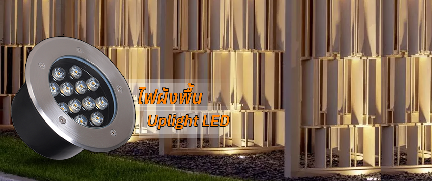 Header_cate_Uplight
